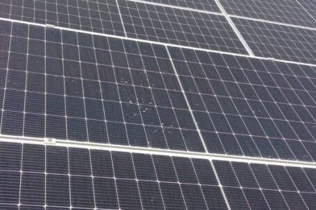 WhatsApp Image 2025-07-23 at 8.03.18 PM